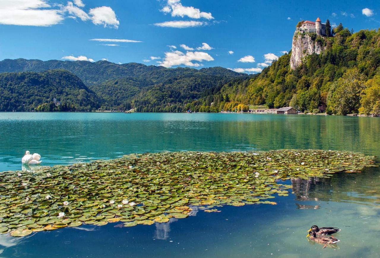 Apartma As Bled Exterior photo